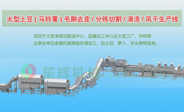 砚山连续式土豆去皮清洗切割风干生产线